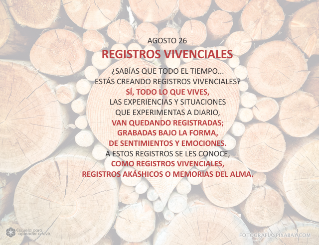 Registros vivenciales